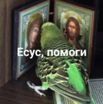1747134283866.png