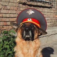 Мухтар