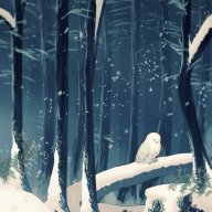 North Forest