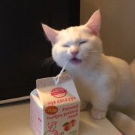 stolbolove