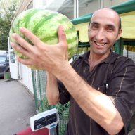 аристократ