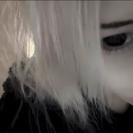 Levii
