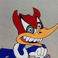 honorable woodpecker