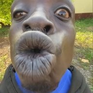Jagajaga