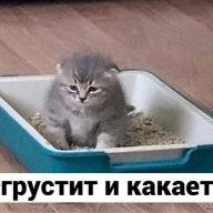 микрочелик