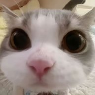 Меня подставили