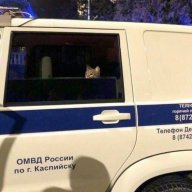 Линчеватель