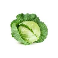 kapusta