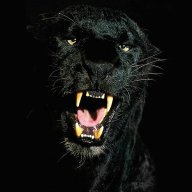 shramzz catrage