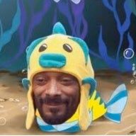 кактус