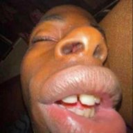 AllFoxter