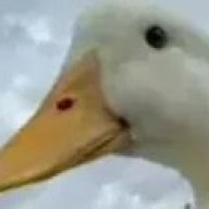 Гусь?