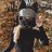Tom_Taison