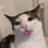 CatLover3000