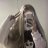 Roy_Nevskiy