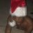 deusq