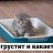 микрочелик