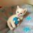 Trinity_Elmers