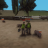 Canny_Forelli