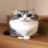 Roy_Guard